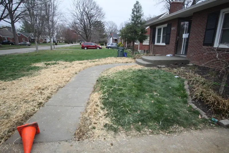 Concrete sidewalk